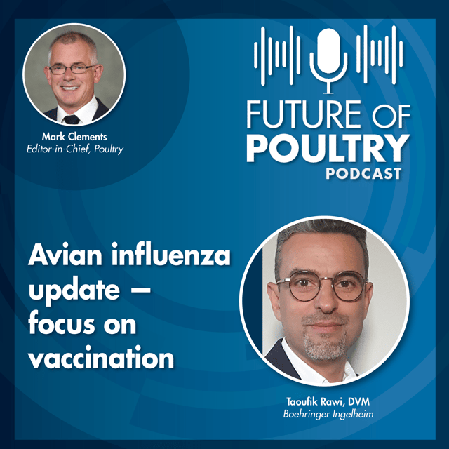 Avian influenza update — focus on vaccination  image