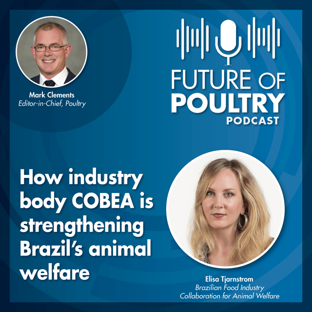 How industry body COBEA is strengthening Brazil’s animal welfare image