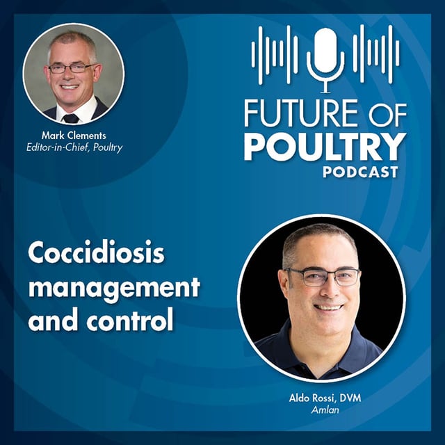 Coccidiosis management and control image