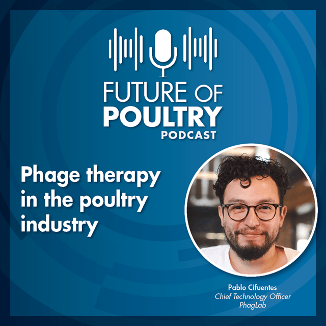 Phage therapy in the poultry industry image