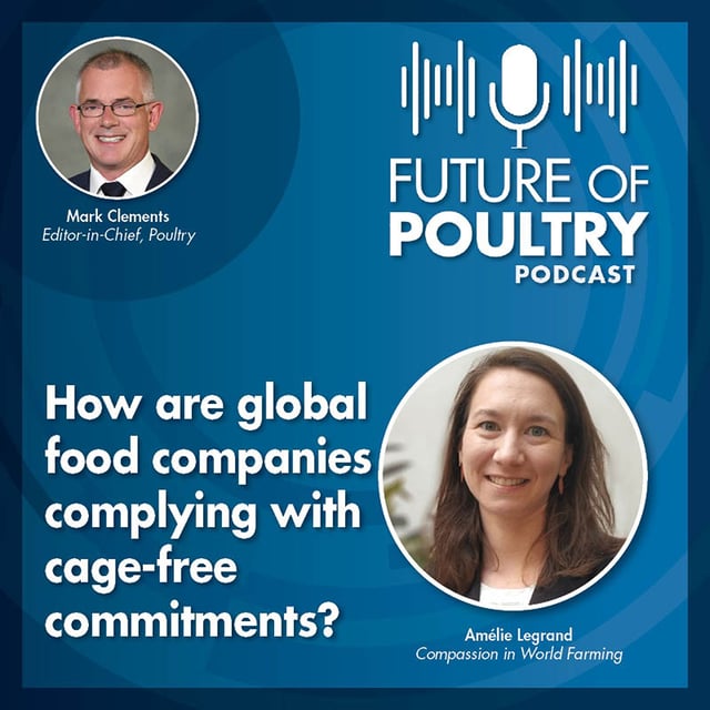 How are global food companies complying with cage-free commitments? image