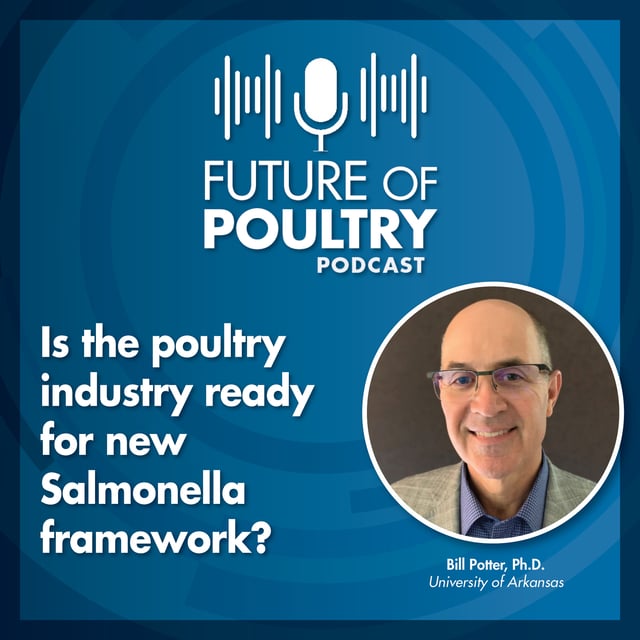 Is the poultry industry ready for new Salmonella framework? image