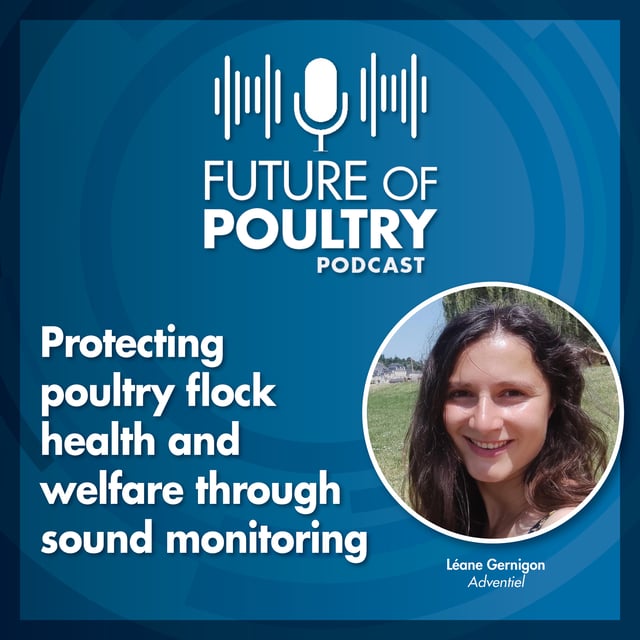 Protecting poultry flock health and welfare through sound monitoring image