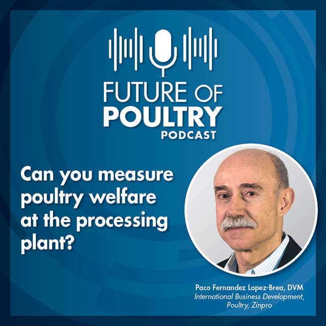 Can you measure poultry welfare at the processing plant? image