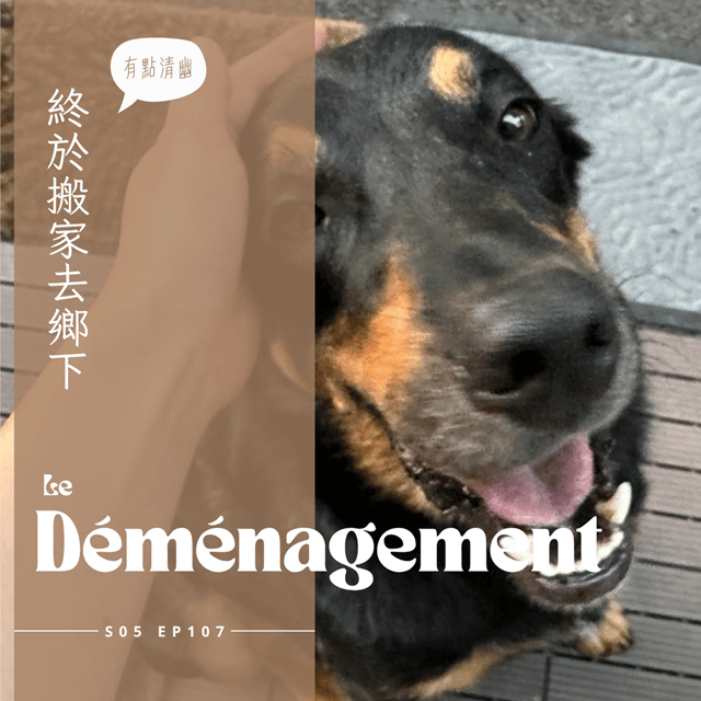 EP 107 - 在法國找窩 : 在房東家住地下室被發現東西很亂、小六曾經被陰險房東狠坑的血淚經驗、諾曼地有共同敵人還各種互告的鄰里關係、法國愛八卦跟監視器一樣的阿公阿伯 image