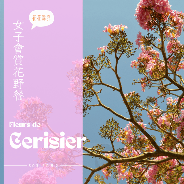 EP052 - 法國櫻花好漂亮，悠閒野餐超快樂 image