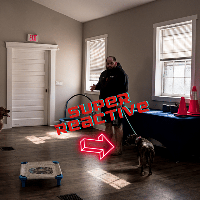 Addressing Reactivity image