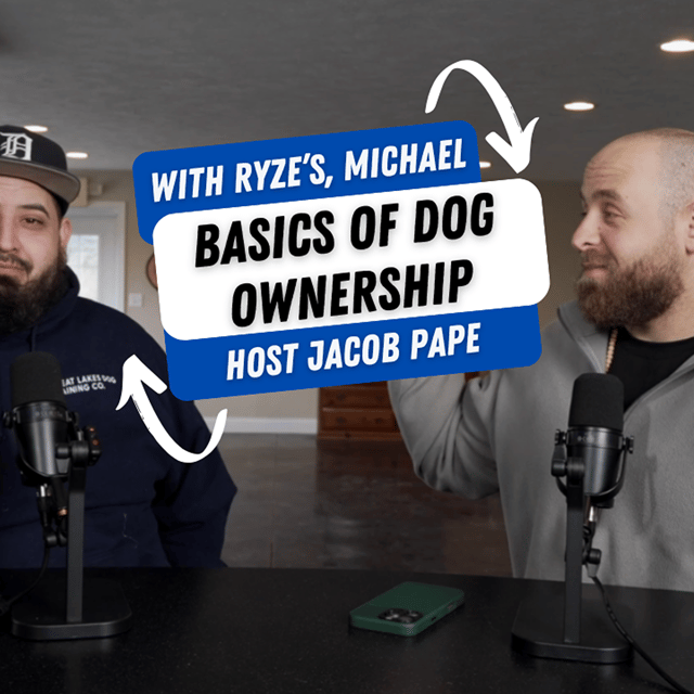 Basics of Dog Ownership image