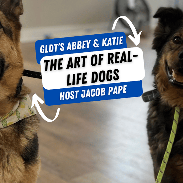 Tailored Training : Boxers, Huskies, and the Art of Real-Life Dogs image