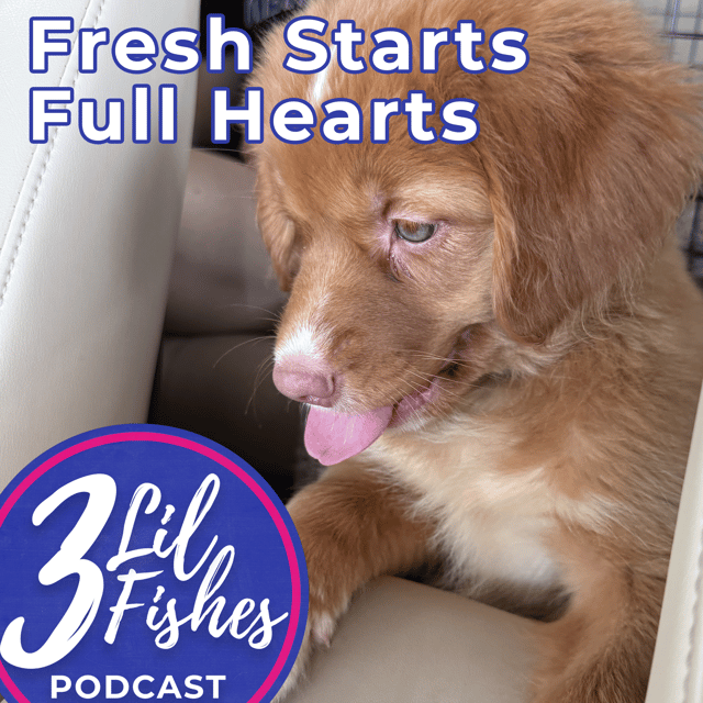 Fresh Starts, Full Hearts image