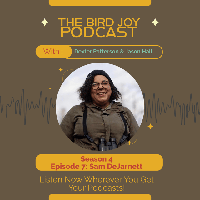 Birding as Joy, Protest, and Collective Liberation with Sam DeJarnett image