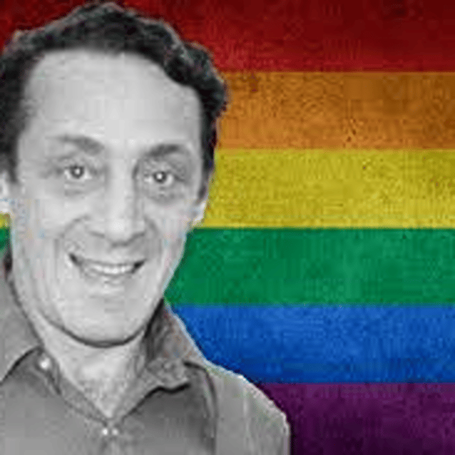 Harvey Milk image