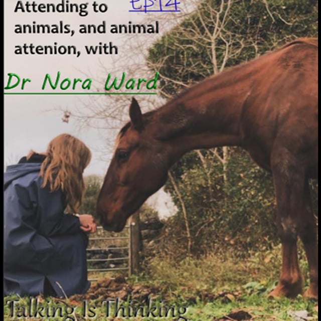 Attending to Animals and Animal Attention, with Dr Nora Ward image