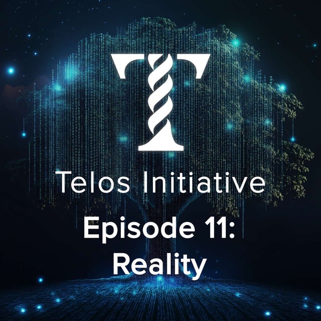 Episode 11 - Reality image