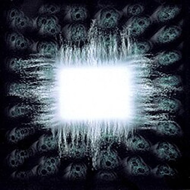 Tool  AEnima  image