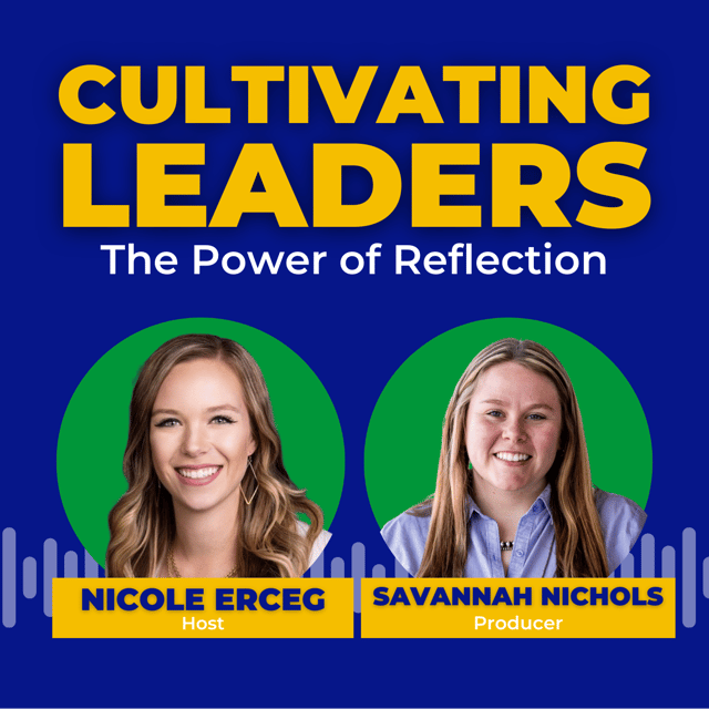 The Power of Reflection image