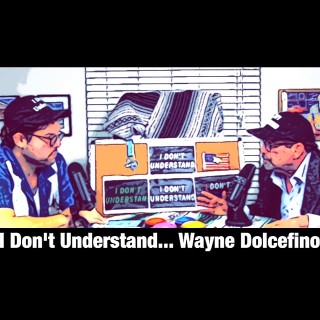 I Don't Understand... Wayne Dolcefino  image