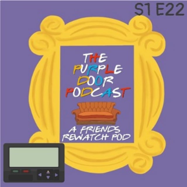 S1 E22 The One With The Ick Factor image