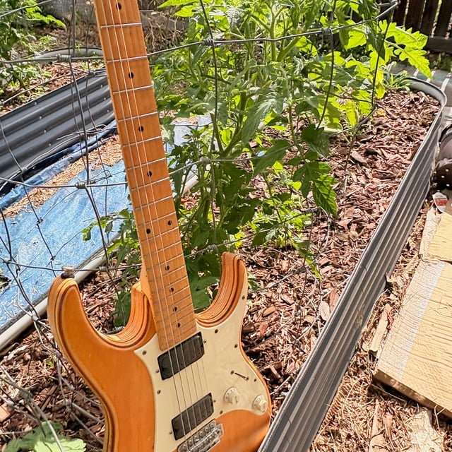Community Garden - EP23 image