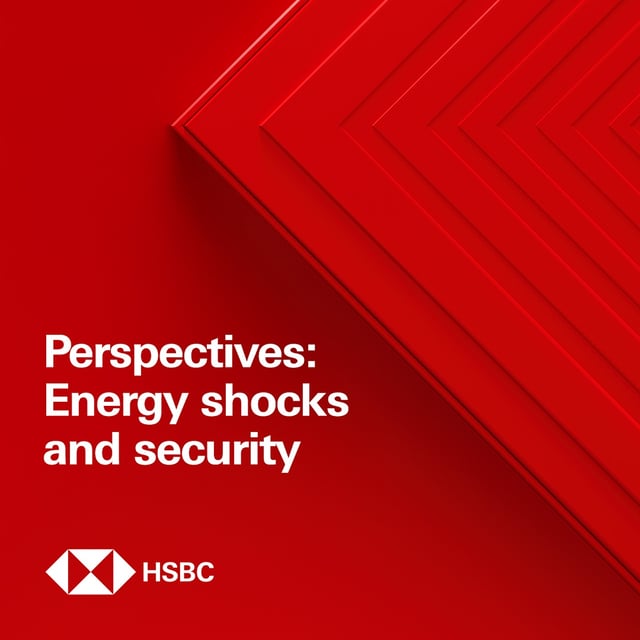 Perspectives: Energy shocks and security image