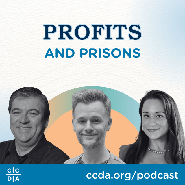 Profits and Prisons image