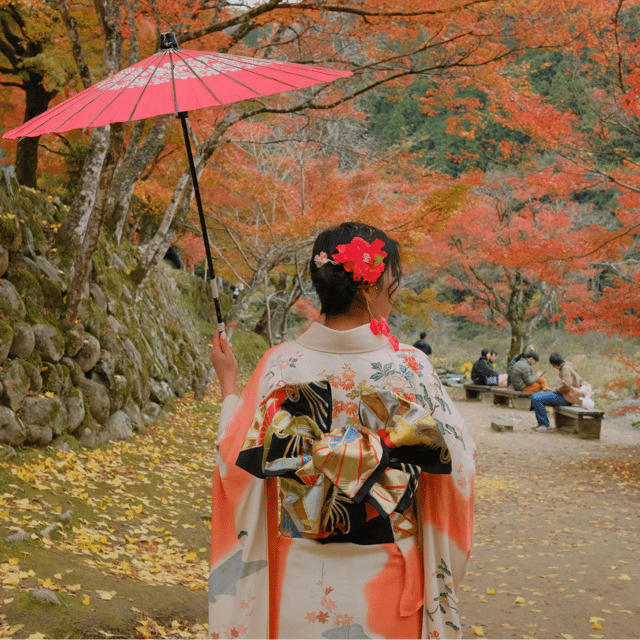 From Tourist to Local: How One Trip to Japan Changed Everything image