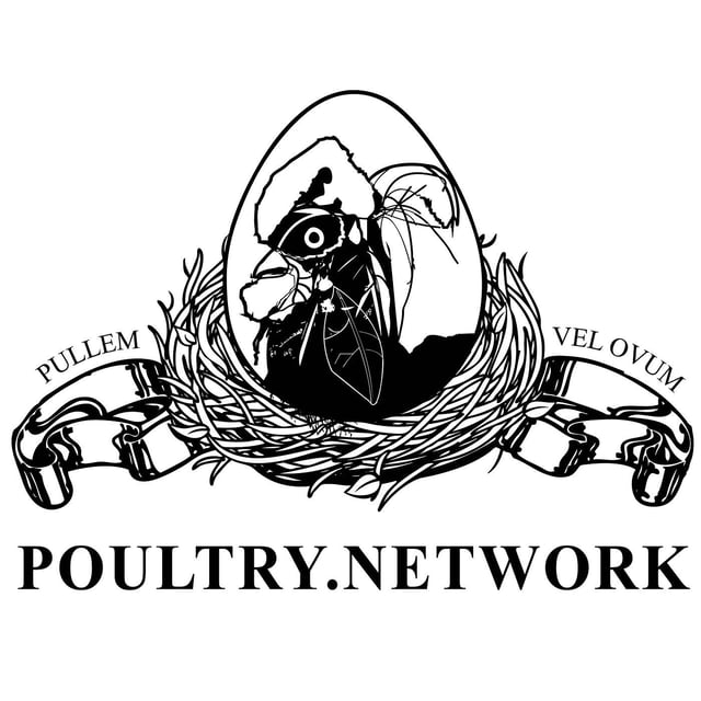 Tim Burnside, Aviagen: Breeding Poultry For Higher Sustainability, Welfare and Performance  image