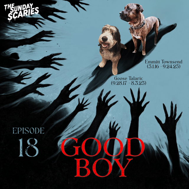 Good Boy (2025) image