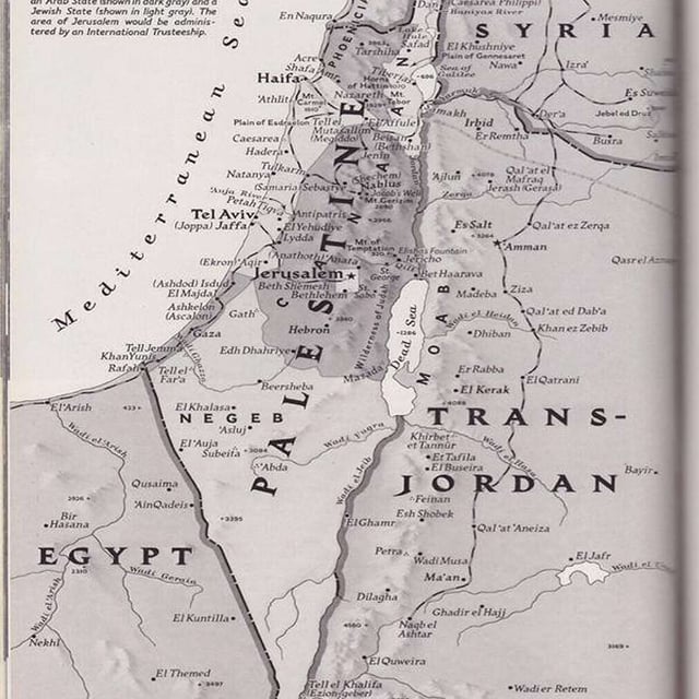Revolutionary Spirit: Palestine Round Table Pt. 2 image