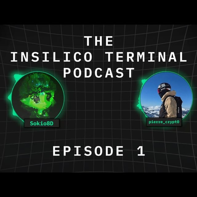 Insilico Terminal Podcast Episode 1 - Pierre Crypto  image