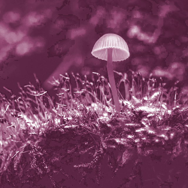 The Courage to Do What's Right image