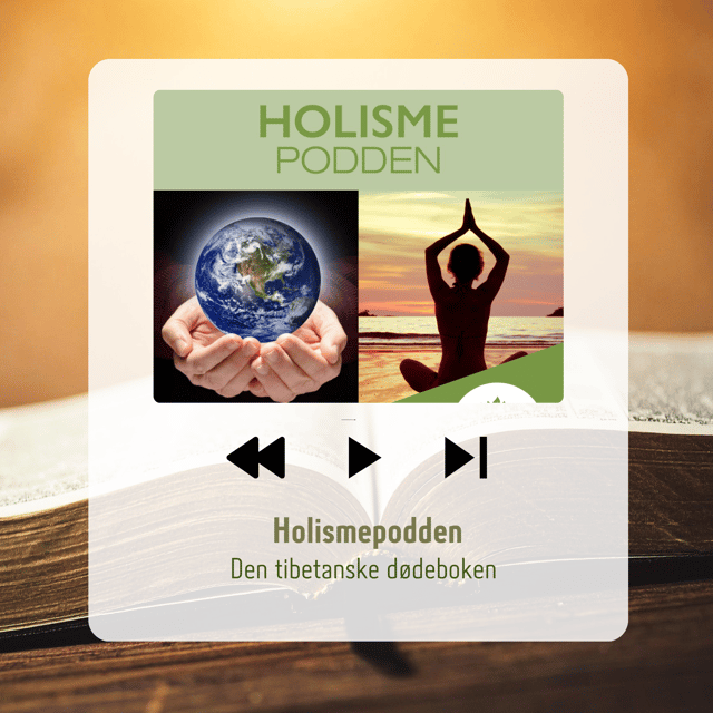 11. Den tibetanske dødeboken image