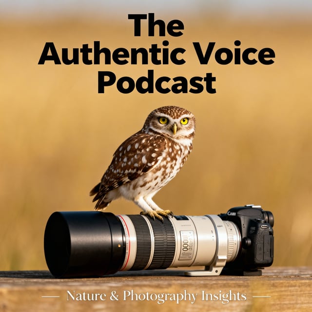 The one with Scott Keys image