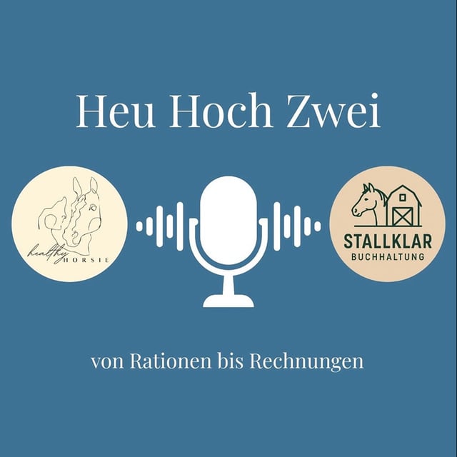 #3 Stallfinanzen zum Jahresende image