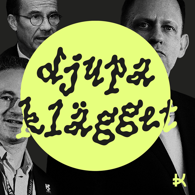 Kristerssons hemliga möte med Palantir-miljardärerna image