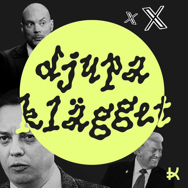 Därför blev SD så arga... image