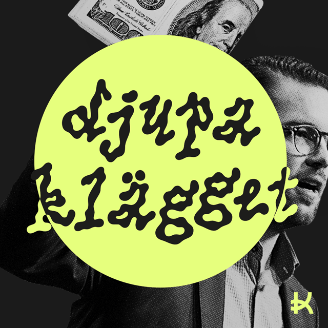 Förbudet stoppar inte SD:s hemliga pengar image