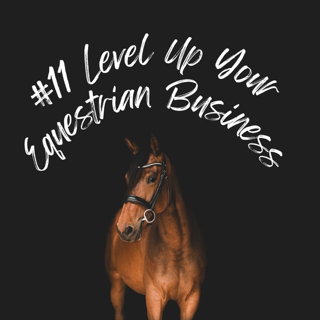 Level Up Your Equestrian Business image