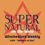 The Winchesters Weekly - 1x04 image