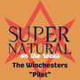 The Winchesters Weekly - 1x01 image