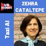 E10 - Zehra Cataltepe on dealing COVID-19 related issues with Automated Machine Learning and Explainable AI image