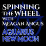 2024 Feb New Moon in Aquarius, Lunar Week 44 image