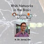 #4-15 - RNA Networks in the Brain - Part 2 - ft. Dr. Jernej Ule image