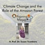 #4-08 - Climate Change and the Role of the Amazon Forest – Part 1 - ft. Prof. Dr. Susan Trumbore  image