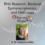 #4-07 - RNA Research, Bacterial Epitranscriptomics, and NAD-caps - Part 2 - ft. Dr. Katharina Höfer image