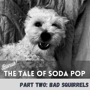 The Tale of SodaPop: Part Two image