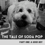 The Tale of SodaPop: Part One image