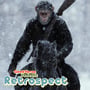War For The Planet Of The Apes Retrospective image