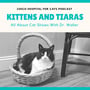 #31 Kittens and Tiaras - All About Cat Shows w/ Dr. Waller image