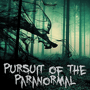 Pursuit of the Paranormal - Podcast Update image